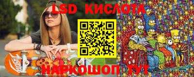 крисы Кулебаки