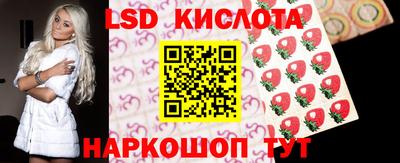 крисы Кулебаки