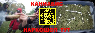 крисы Кулебаки