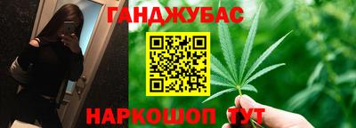 крисы Кулебаки
